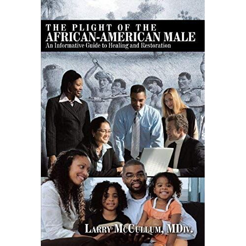 The Plight Of The African-American Male