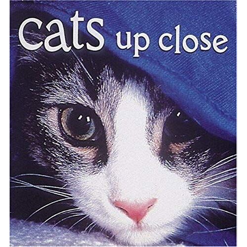 Cats Up Close
