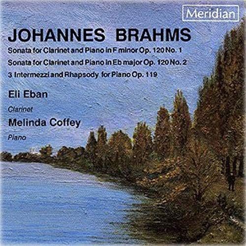 Johannes Brahms (1833-1897) : Trio Pour Piano Clarinette Et Violoncelle En La Mineur Op 114 (1891) Par Eli Eban Clarinette Marcel Bergman Violoncelle Alexander Volkov Piano Members Israel Piano Trio