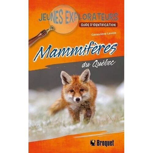 Mammiferes Du Quebec - Guide D'identification