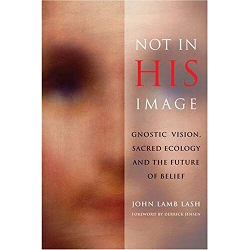Not In His Image: Gnostic Vision, Sacred Ecology, And The Future Of Belief