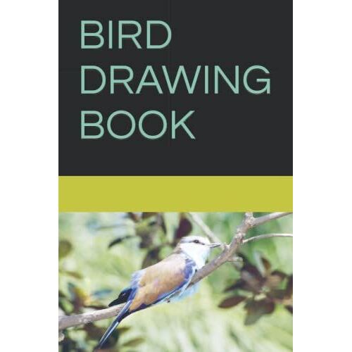 Bird Drawing Book