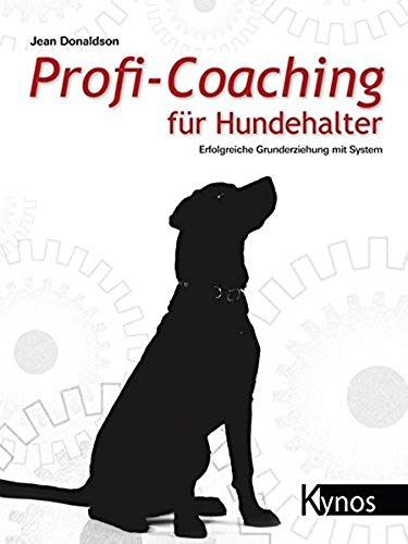 Profi-Coaching Für Hundehalter