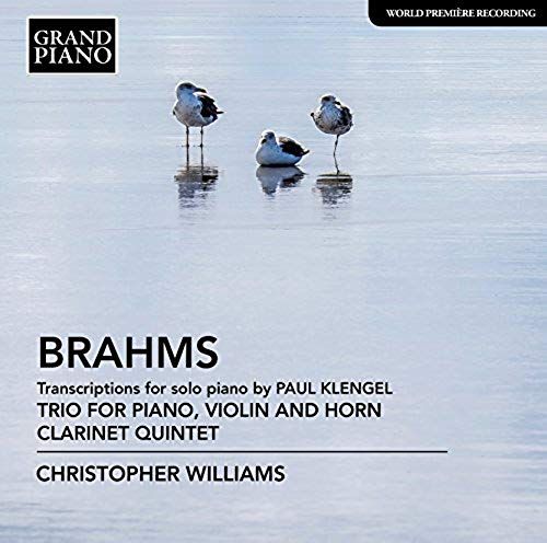 Brahms Transcriptions For Solo Piano By