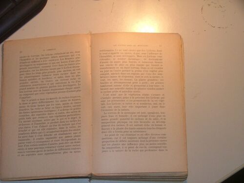 Les Plantes Des Montagnes Et Des Rochers