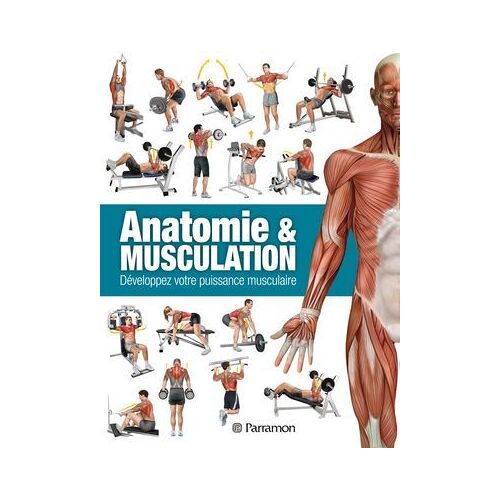 Anatomie & Musculation