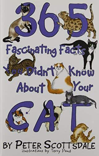 365 Fascinating Facts You Didn't Know About Your Cat