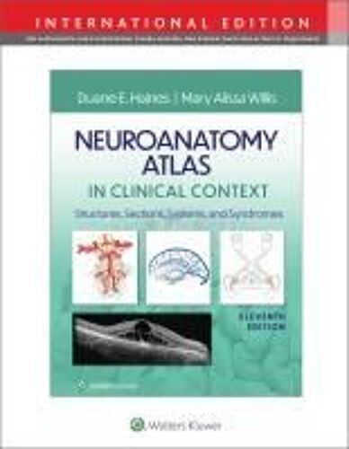 Neuroanatomy Atlas In Clinical Context