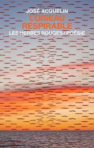 L'oiseau Respirable
