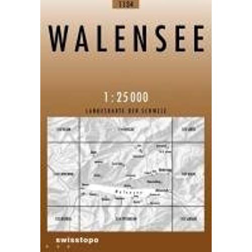 Swisstopo 1 : 25 000 Walensee