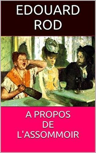 À Propos De L'assommoir