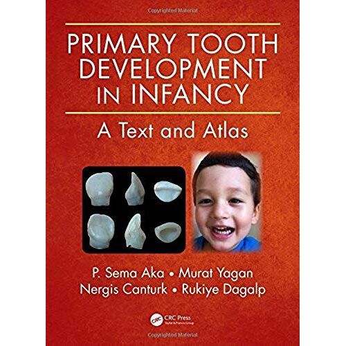 Primary Tooth Development In Infancy