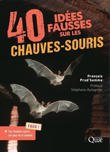40 Idées Fausses Sur Les Chauves-Souris