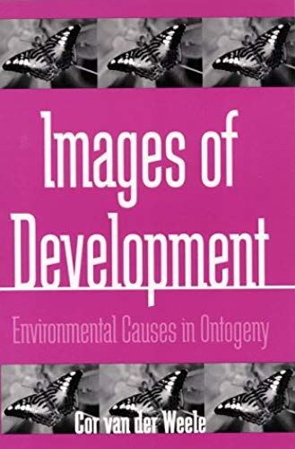 Images Of Development