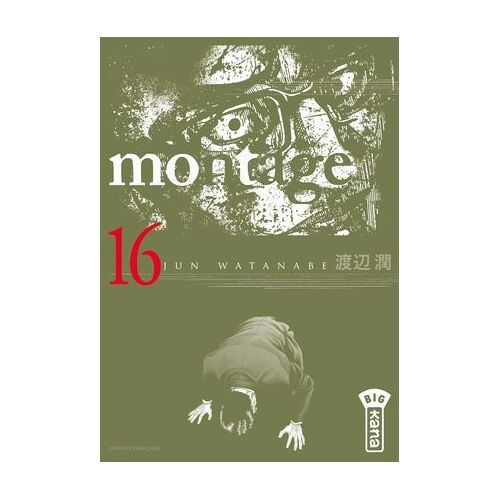 Montage - Tome 16