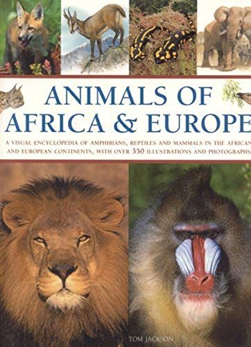 Animals Of Africa And Europe