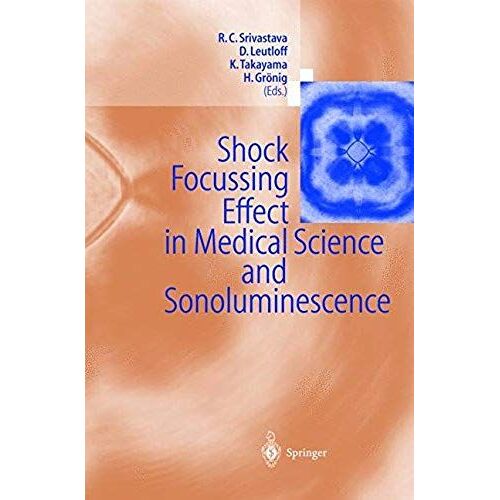 Shock Focussing Effect In Medical Science And Sonoluminescence