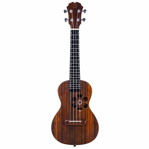 23 Pouces 4 Cordes 18 Frettes Roeswood Smart Ukulele Pour Débutant