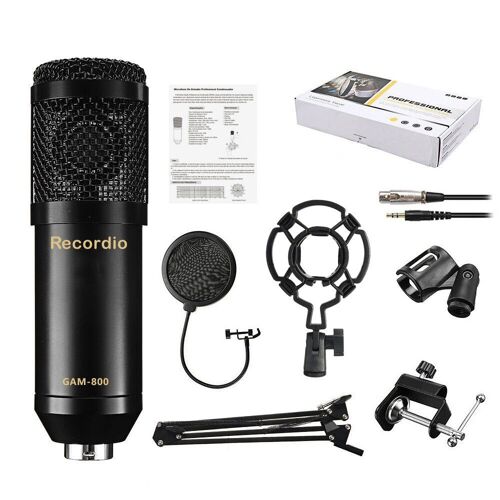 Ensemble d'enregistrement de diffusion de Studio professionnel Microphone à condensateur Ball-type Anti-vent Foam Power Black