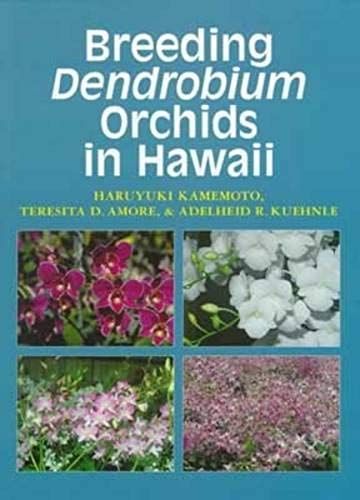 Breeding Dendrobium Orchids In Hawaii