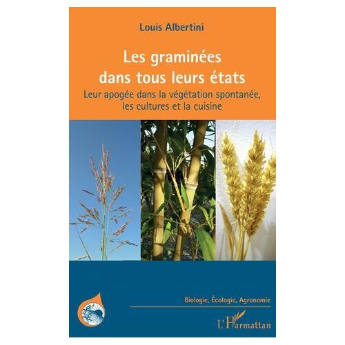 Les Graminées Dans Tous Leurs États