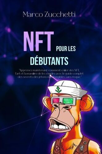 Nft Pour Les Débutants