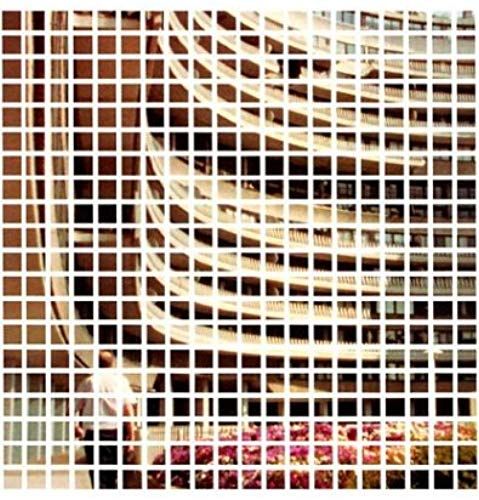 Sarah Morris: Capital