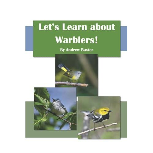 Let's Learn About Warblers