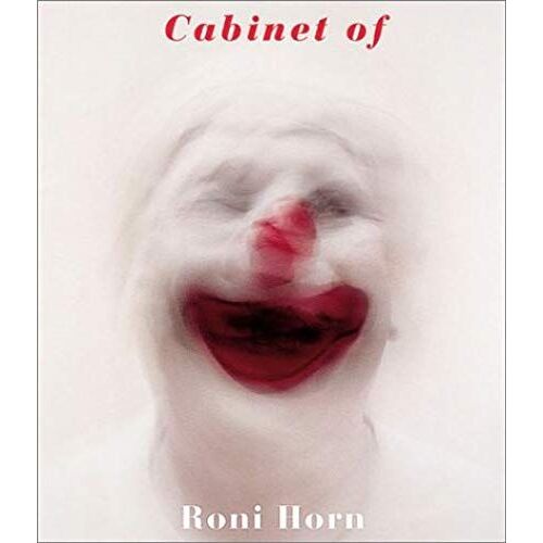 Roni Horn Cabinet