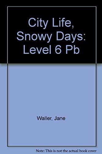 City Life, Snowy Days: Level 6