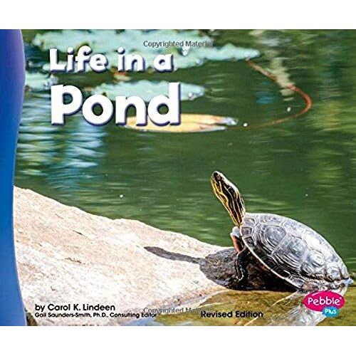 Life In A Pond