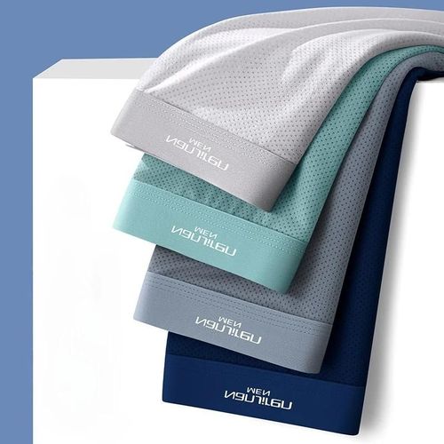 Hommes Boxeurs Sous-Vêtements Masculins 3a Sous-Vêtements Antibactériens Glace Soie Hommes Boxer Shorts Respirant Élastique Mâle Culotte Grande Taille L-6xl.D-7705-4.4xl