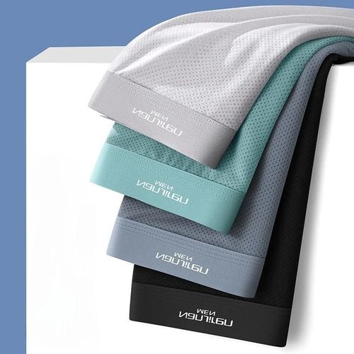 Hommes Boxeurs Sous-Vêtements Masculins 3a Sous-Vêtements Antibactériens Glace Soie Hommes Boxer Shorts Respirant Élastique Mâle Culotte Grande Taille L-6xl.D-7705-7.4xl