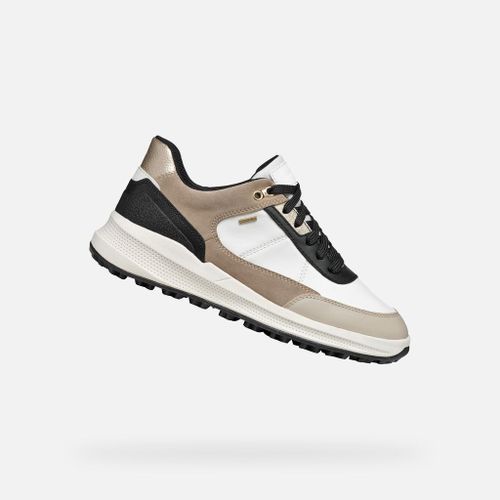 Chaussures Baskets Geox Pg1x
