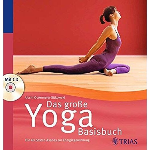 Das Große Yoga Basisbuch
