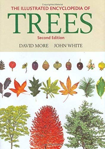 The Illustrated Encyclopedia Of Trees