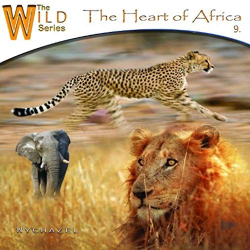 The Heart Of Africa