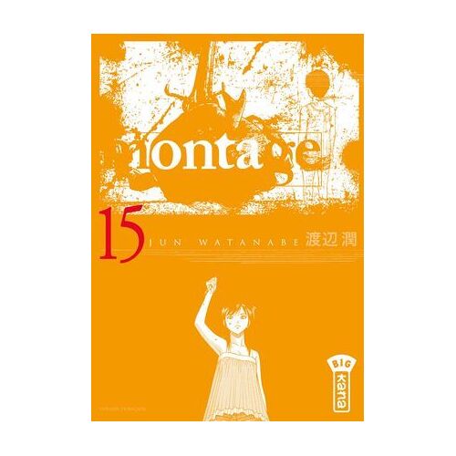 Montage - Tome 15