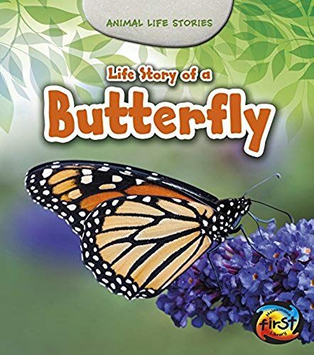 Life Story Of A Butterfly