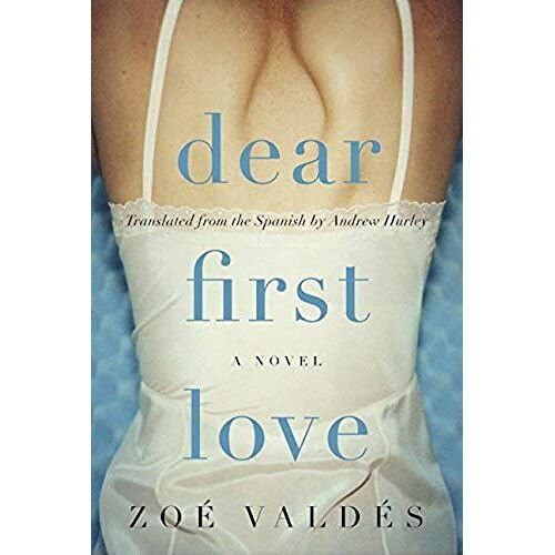 Dear First Love: A Novel