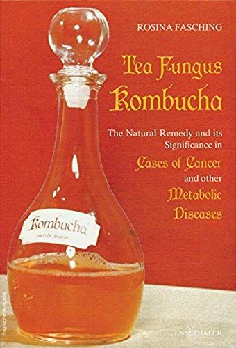 Fasching, R: Tea Fungus Kombucha