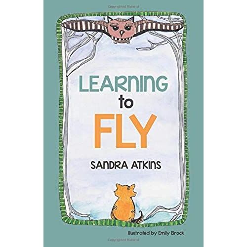 Learning To Fly