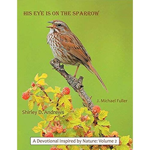 His Eye Is On The Sparrow