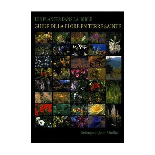 Les Plantes Dans La Bible - Guide De La Flore En Terre Sainte