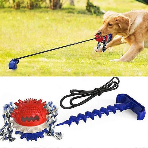 Evago Jouet À Mâcher Pour Chien Morsure Molaire Extérieure Jouets Grinçants Balle Et Piquet, Nettoyage Des Dents Et Fonctions De Distribution De Nourriture-Bleu