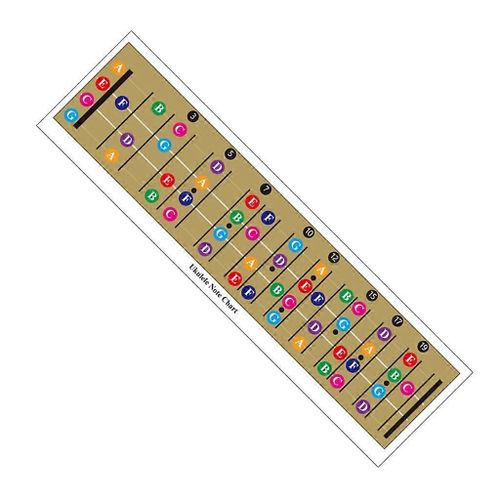 Ukulélé Tableau D'accords Affiche Tableau D'instructions Diagramme De Doigté Débutant