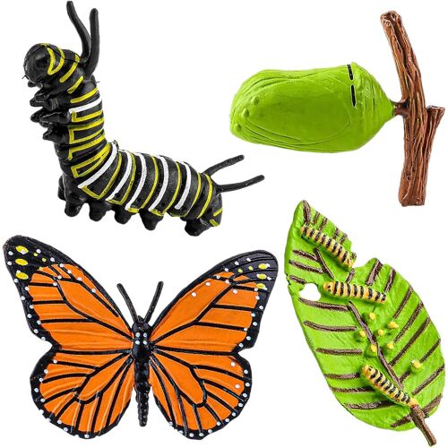 4 Pièces Figurines D'insectes Cycle De Vie Des Papillons Modèle De Croissance, Figurines D'animaux Réalistes Modèle De Cycle De Papillon D'insecte Modèle D'apprentissage Préscolaire Éducation