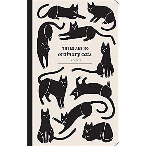 There Are No Ordinary Cats