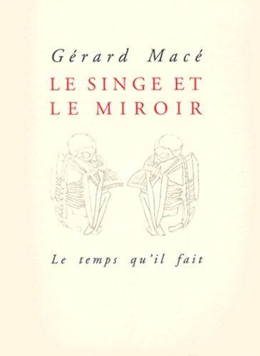 Le Singe Et Le Miroir