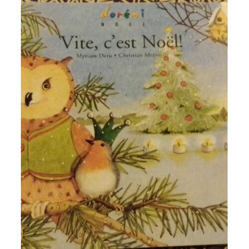 Vite, C'est Noël ! Myriam Deru Et Christian Merveille 